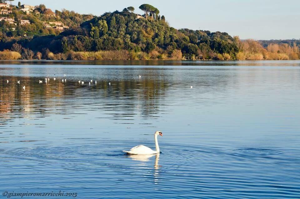 Pepe Apartment -Lago Di Bracciano Trevignano Romano Kültér fotó